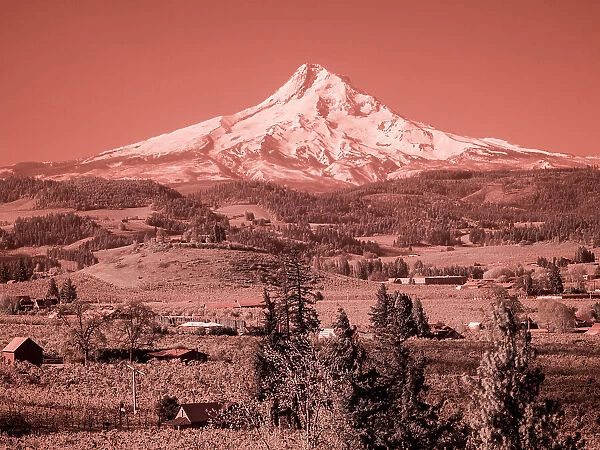 USA, Oregon, Columbia Gorge. Infrared of spring orchards in bloom and Mount Hood Date: 22-04-2021