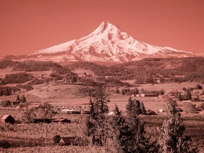 Framed Print : USA, Oregon, Columbia Gorge. Infrared of spring orchards in bloom and Mount Hood Date: 22-04-2021 Framed Print : USA, Oregon, Columbia Gorge. Infrared of spring orchards in bloom and Mount Hood Date: 22-04-2021