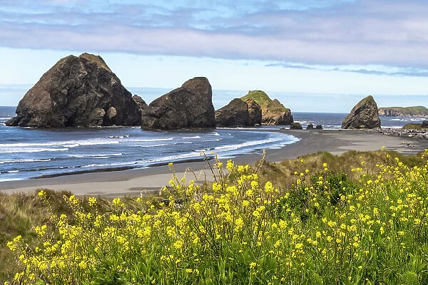 USA, Oregon. Pistol River Beach and sea stacks. Date: 25-05-2021