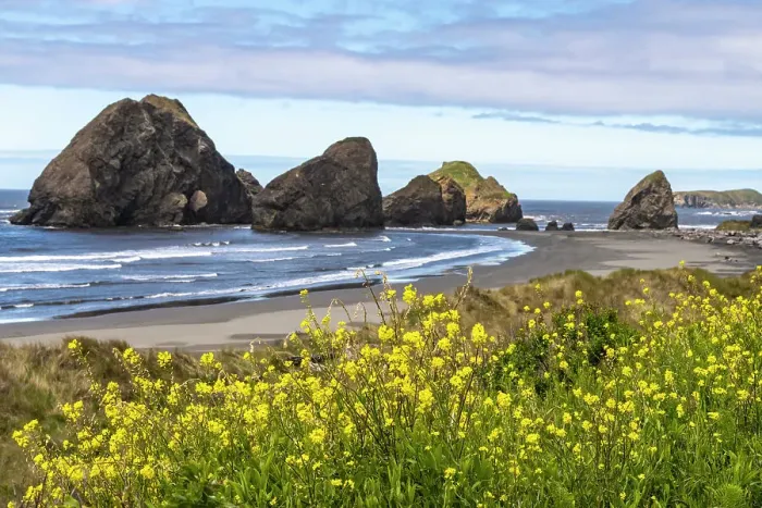 Framed Print : USA, Oregon. Pistol River Beach and sea stacks. Date: 25-05-2021 Framed Print : USA, Oregon. Pistol River Beach and sea stacks. Date: 25-05-2021