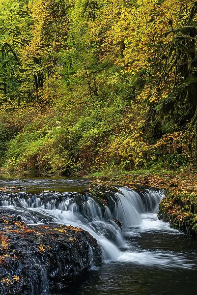 USA, Oregon, Silver Falls State Park. Waterfalls and forest in autumn. Date: 19-10-2021