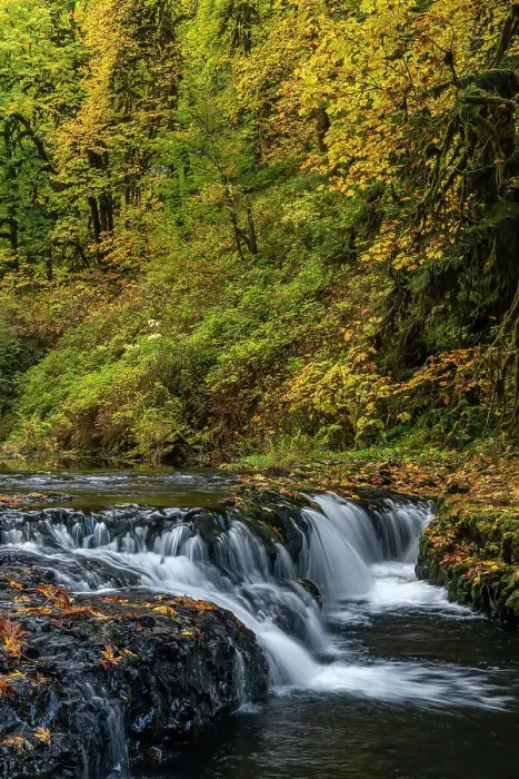 Framed Print : USA, Oregon, Silver Falls State Park. Waterfalls and forest in autumn. Date: 19-10-2021 Framed Print : USA, Oregon, Silver Falls State Park. Waterfalls and forest in autumn. Date: 19-10-2021