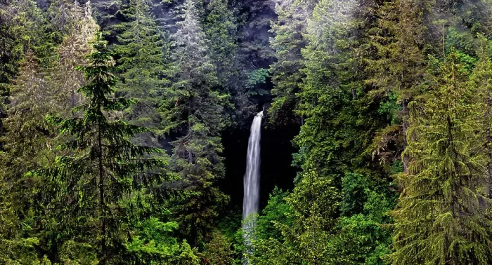 Framed Print : USA, Oregon, Silver Falls State Park, North Falls Date: 10-06-2018 Framed Print : USA, Oregon, Silver Falls State Park, North Falls Date: 10-06-2018