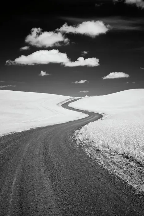 Framed Print : USA, Palouse Country, Washington State, Infrared Palouse fields and backroad Date: 11-06-2011 Framed Print : USA, Palouse Country, Washington State, Infrared Palouse fields and backroad Date: 11-06-2011