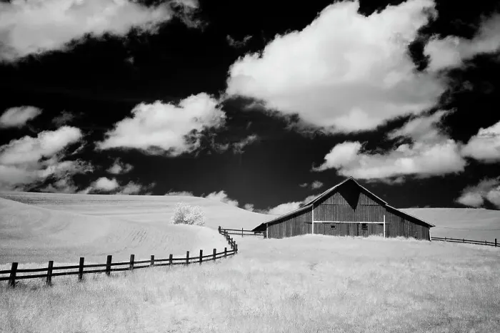 Framed Print : USA, Palouse Country, Washington State, Infrared Palouse fields and barn Date: 11-06-2011 Framed Print : USA, Palouse Country, Washington State, Infrared Palouse fields and barn Date: 11-06-2011