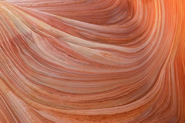 USA - Detail of the rock wall at The Wave, a breathtaking work of art, naturally carved in beautiful red and yellow striated soft Navajo sandstone. North Coyote Buttes, Paria Canyon-Vermilion Cliffs Wilderness