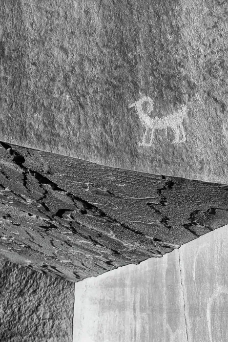 Framed Print : USA, Utah. Ancient petroglyphs in Kane Creek Canyon, near Moab. Date: 10-11-2020 Framed Print : USA, Utah. Ancient petroglyphs in Kane Creek Canyon, near Moab. Date: 10-11-2020