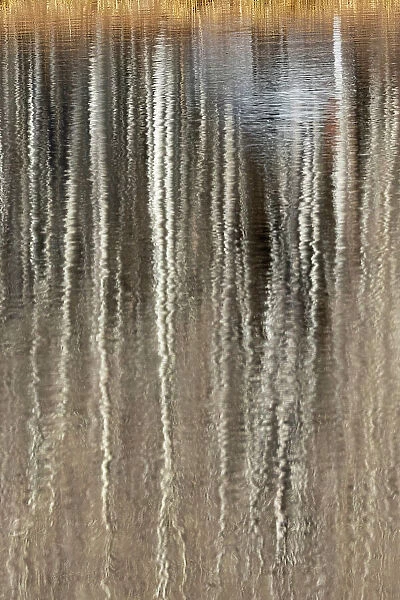 USA, Utah. Aspen reflections on Warner Lake, Manti-La Sal National Forest. Date: 01-11-2020