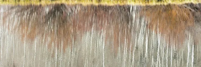 Framed Print : USA, Utah. Aspen and willow reflections on Warner Lake, Manti-La Sal National Forest. Date: 01-11-2020 Framed Print : USA, Utah. Aspen and willow reflections on Warner Lake, Manti-La Sal National Forest. Date: 01-11-2020