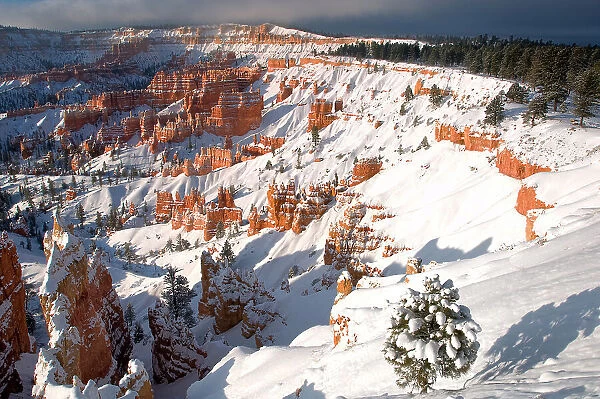 USA, Utah, Bryce Canyon National Park. Winter sunrise on snow-covered landscape. Date: 17-03-2008