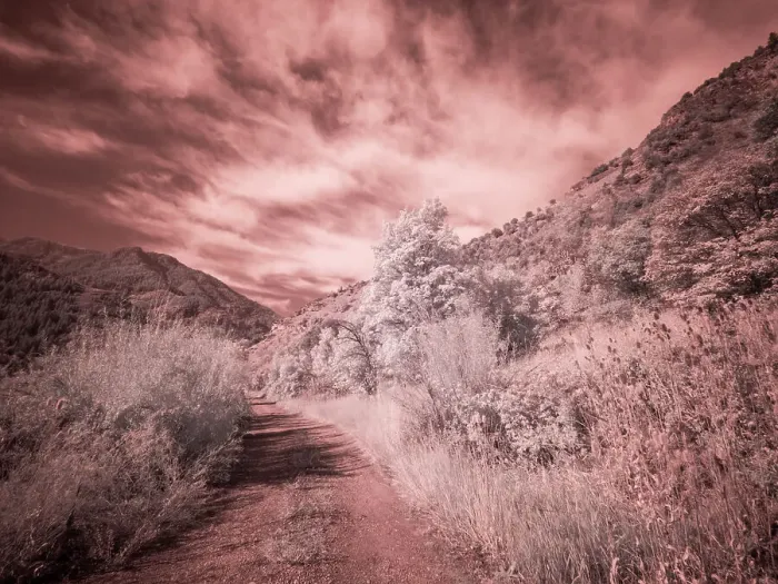 Framed Print : USA, Utah, Infrared of backroad in the Logan Pass area Date: 25-09-2020 Framed Print : USA, Utah, Infrared of backroad in the Logan Pass area Date: 25-09-2020