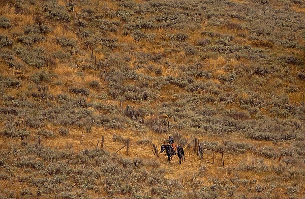 USA, Utah, Logan Highway 89 cowboy on horseback along fence line Date: 26-09-2020