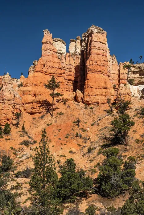 Framed Print : USA, Utah. Orange and white hoodoos and pinyon pine, Bryce Canyon National Park. Date: 18-10-2020 Framed Print : USA, Utah. Orange and white hoodoos and pinyon pine, Bryce Canyon National Park. Date: 18-10-2020