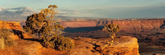 Framed Print : USA, Utah. Panoramic of twisted juniper at an overlook, Dead Horse Point State Park. Date: 23-01-2021 Framed Print : USA, Utah. Panoramic of twisted juniper at an overlook, Dead Horse Point State Park. Date: 23-01-2021