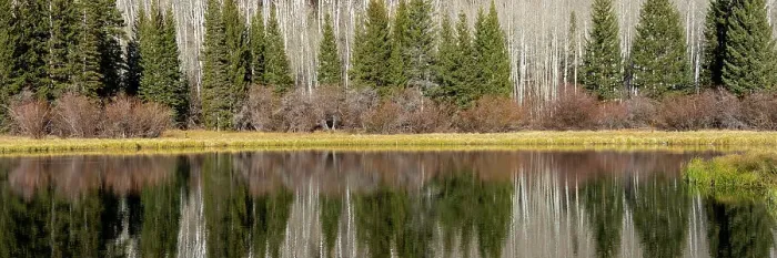 Framed Print : USA, Utah. Reflections on Warner Lake, Manti-La Sal National Forest. Date: 01-11-2020 Framed Print : USA, Utah. Reflections on Warner Lake, Manti-La Sal National Forest. Date: 01-11-2020