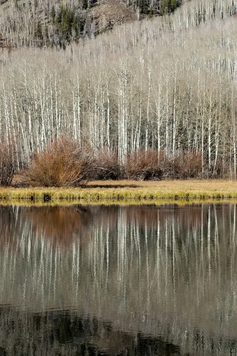 Framed Print : USA, Utah. Reflections on Warner Lake, Manti-La Sal National Forest. Date: 01-11-2020 Framed Print : USA, Utah. Reflections on Warner Lake, Manti-La Sal National Forest. Date: 01-11-2020