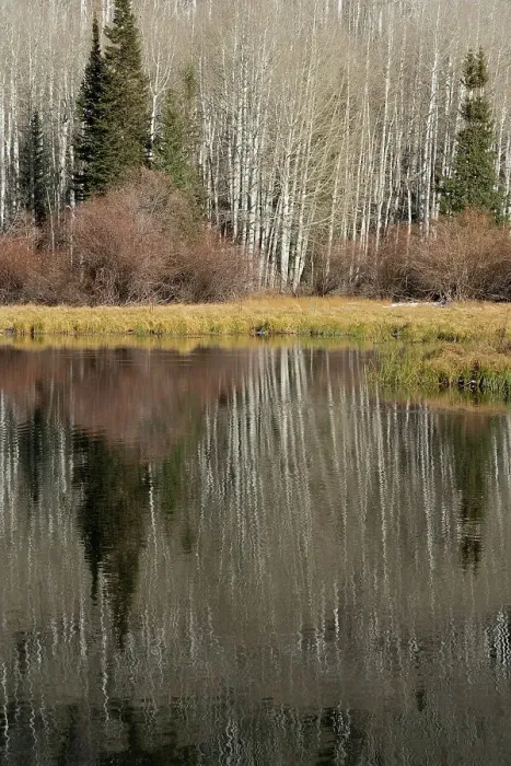 Framed Print : USA, Utah. Reflections on Warner Lake, Manti-La Sal National Forest. Date: 01-11-2020 Framed Print : USA, Utah. Reflections on Warner Lake, Manti-La Sal National Forest. Date: 01-11-2020