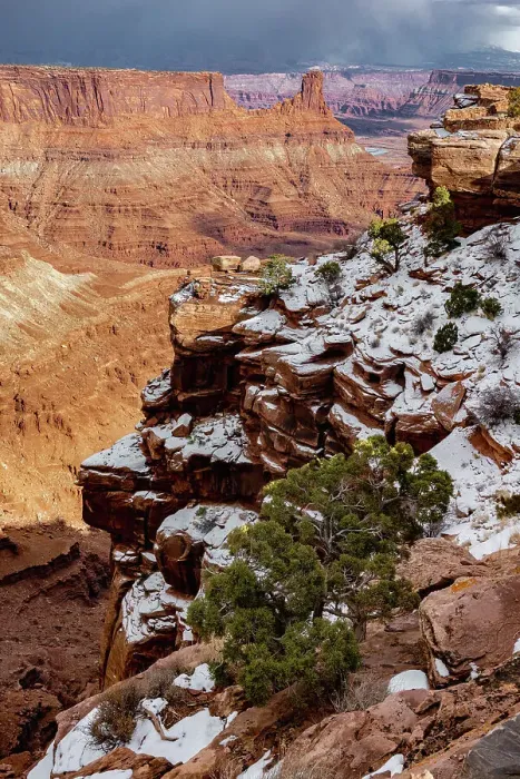 Framed Print : USA, Utah. Twisted juniper in the snow at an overlook, Dead Horse Point State Park. Date: 16-02-2021 Framed Print : USA, Utah. Twisted juniper in the snow at an overlook, Dead Horse Point State Park. Date: 16-02-2021