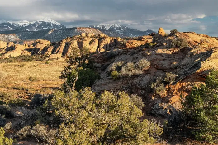 Framed Print : USA, Utah. Vista of Sand Flats and the La Sal Mountains, Sand Flats Recreation Area, near Moab. Date: 15-03-2021