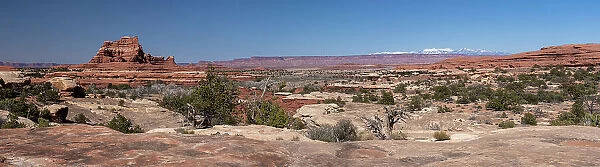 USA, Utah. Vista from Wooden Shoe Arch, Canyonlands National Park, Needles District. Date: 31-03-2021