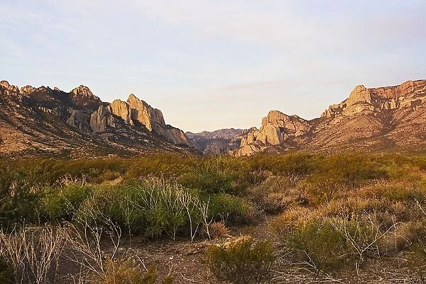 USA - View looking toward Cave Creek Canyon and the Chiricahua Mountains in Portal AZ at sunrise in July