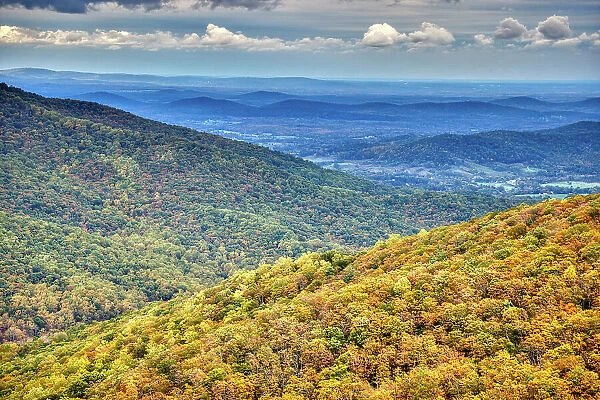 USA, Virginia, Shenandoah National Park, fall color Date: 16-10-2020