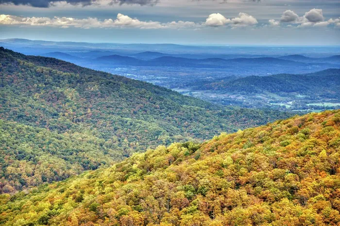 Framed Print : USA, Virginia, Shenandoah National Park, fall color Date: 16-10-2020 Framed Print : USA, Virginia, Shenandoah National Park, fall color Date: 16-10-2020