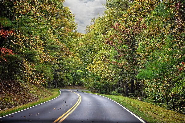 USA, Virginia, Shenandoah National Park, fall color along Skyline Drive Date: 16-10-2020