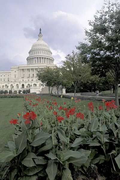 USA, Washington DC. Capitol Building