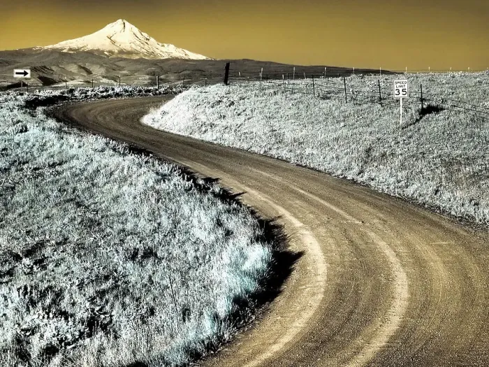 Framed Print : USA, Washington State. Infrared capture of road running though wildflowers with Mount Hood in background Date: 22-04-2021 Framed Print : USA, Washington State. Infrared capture of road running though wildflowers with Mount Hood in background Date: 22-04-2021