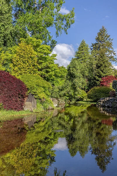 USA, Washington State, Brinnon. Whitney Garden and Nursery landscape reflects in pond. Date: 20-05-2021