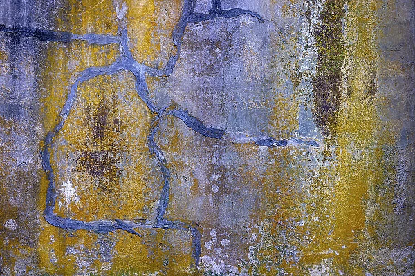 USA, Washington State, Fort Flagler State Park. Abstract pattern of weathered wall. Date: 21-09-2021