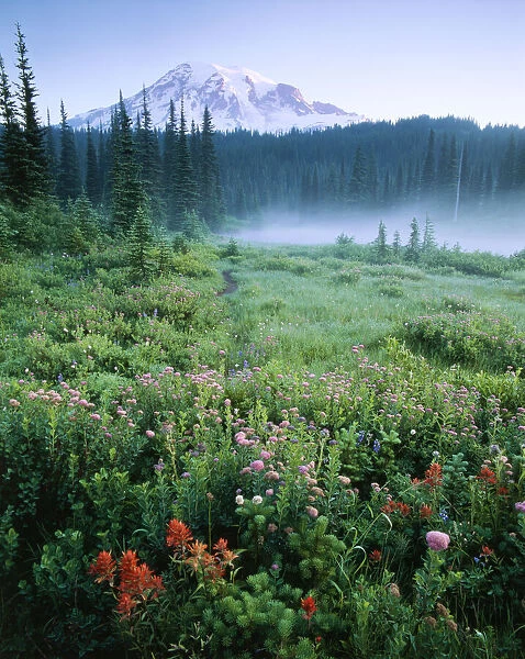 USA, Washington State, Mt Rainier National