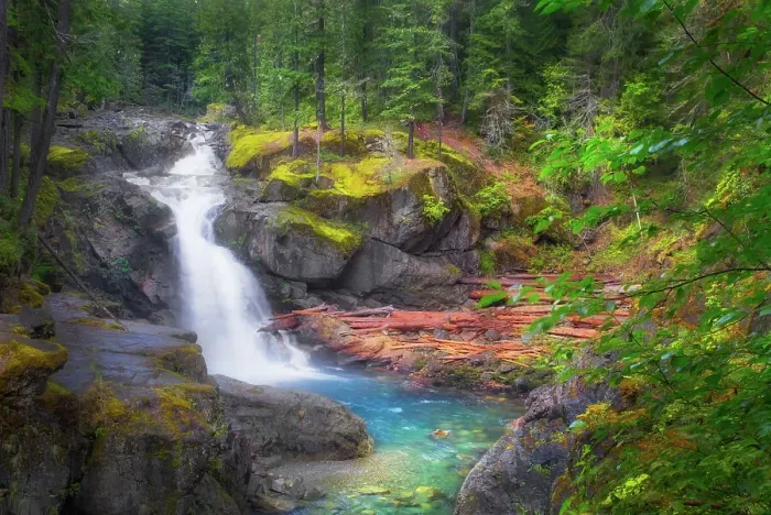 Framed Print : USA, Washington State, Mt. Rainier National Park. Silver Falls on the Ohanapecosh River. Date: 16-09-2019