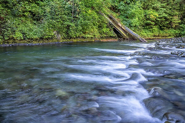 USA, Washington State, Olympic National Forest. Rapids on Duckabush River. Date: 13-09-2021