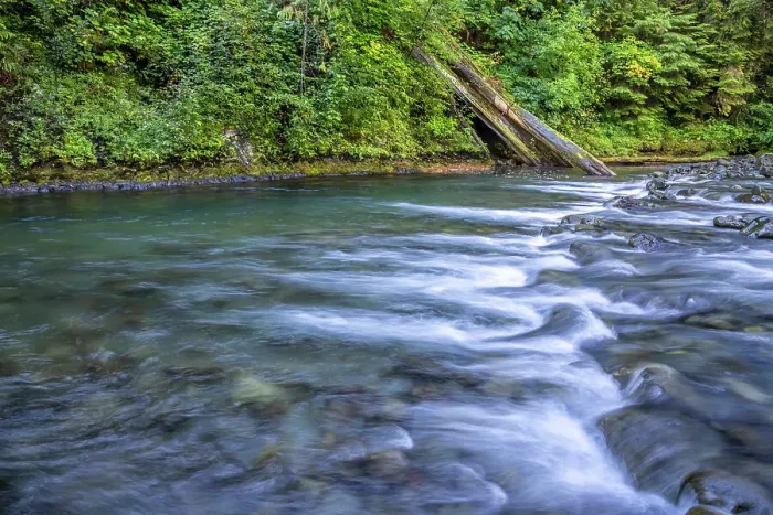 Framed Print : USA, Washington State, Olympic National Forest. Rapids on Duckabush River. Date: 13-09-2021 Framed Print : USA, Washington State, Olympic National Forest. Rapids on Duckabush River. Date: 13-09-2021