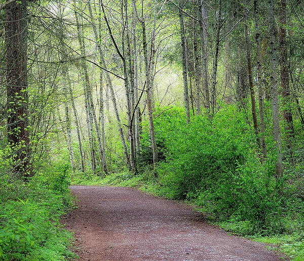 USA, Washington State, Pacific Northwest Sammamish trail along Yellow Lake Date: 23-04-2020