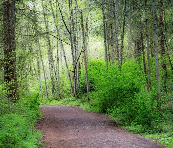 Framed Print : USA, Washington State, Pacific Northwest Sammamish trail along Yellow Lake Date: 23-04-2020 Framed Print : USA, Washington State, Pacific Northwest Sammamish trail along Yellow Lake Date: 23-04-2020
