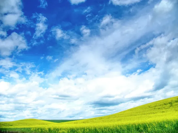 Framed Print : USA, Washington State, Palouse, Spring canola field with beautiful clouds Date: 20-06-2019 Framed Print : USA, Washington State, Palouse, Spring canola field with beautiful clouds Date: 20-06-2019