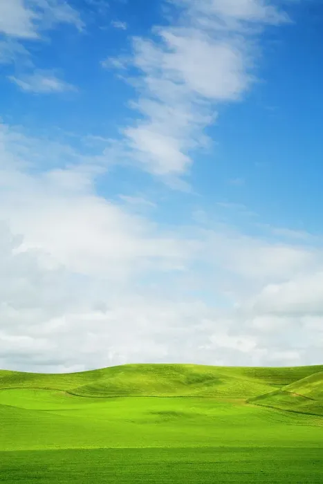 Framed Print : USA, Washington State, Palouse Region, Patterns in the fields of fresh green Spring wheat Date: 13-06-2006