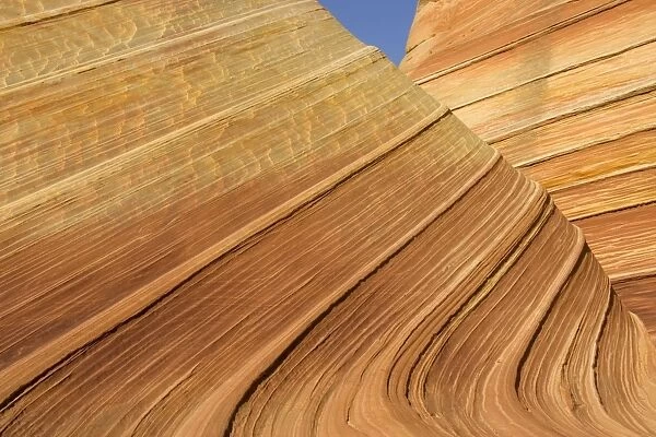 USA - The Wave, a breathtaking work of art, naturally carved in beautiful red and yellow striated soft Navajo sandstone. North Coyote Buttes, Paria Canyon-Vermilion Cliffs Wilderness, Vermilion Cliffs National Monument, Arizona, USA