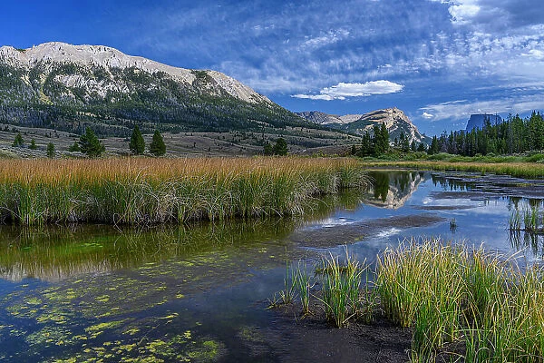 USA, Wyoming. White Rock Mountain and Squaretop Peak above Green River wetland Date: 02-09-2019