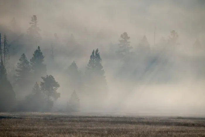 Framed Print : USA, Wyoming, Yellowstone National Park. Early morning fog with light rays through the trees. Date: 08-10-2020 Framed Print : USA, Wyoming, Yellowstone National Park. Early morning fog with light rays through the trees. Date: 08-10-2020