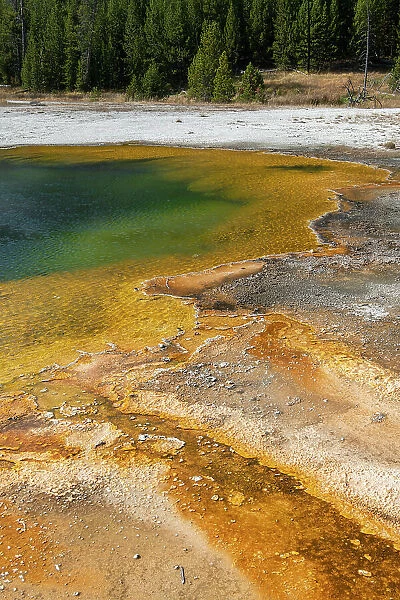 USA, Wyoming, Yellowstone National Park, Black Sand Basin, Emerald Pool. Green pool with yellow thermopile bacteria mat. Date: 08-10-2020