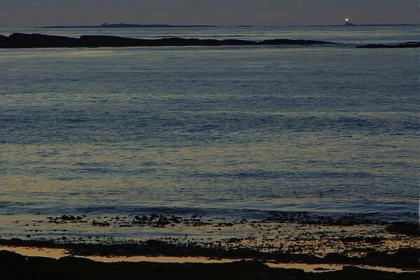 USH-2137. Lighthouse on the Farnes-twilight over the North Sea,