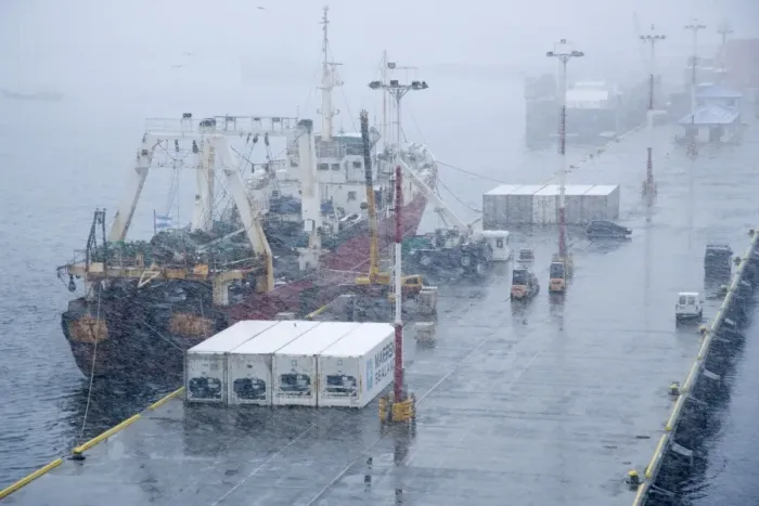 Framed Print : Ushuaia dock unloading fish in snow storm, Tierra del Fuego, October Framed Print : Ushuaia dock unloading fish in snow storm, Tierra del Fuego, October