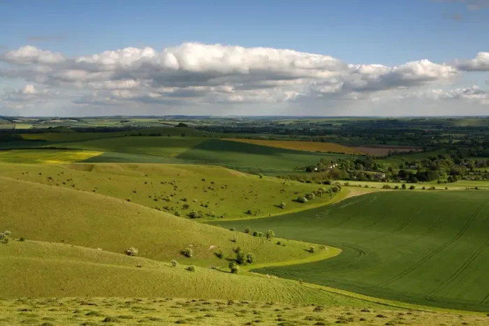 Framed Print : The Vale of Pewsey seen from Walkers Hill, which is part of the Pewsey Downs Nature Reserve near Alton Barnes, Wiltshire, England. Fingers of chalk downland spread out into rich arable land below Framed Print : The Vale of Pewsey seen from Walkers Hill, which is part of the Pewsey Downs Nature Reserve near Alton Barnes, Wiltshire, England. Fingers of chalk downland spread out into rich arable land below