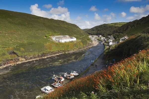 Valley and Harbour - summer - Boscastle, Cornwall, UK