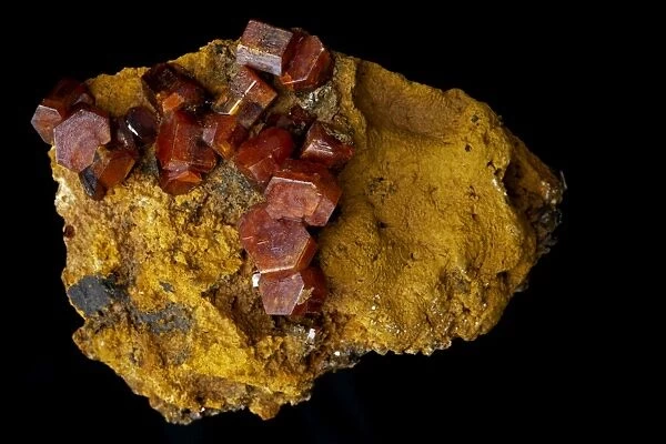 Vanadinite - Pb5(VO4)3Cl - Lead Chlorovanadate - Mibladen Morrocco - One of the main ores of vanadium and a minor ore of lead