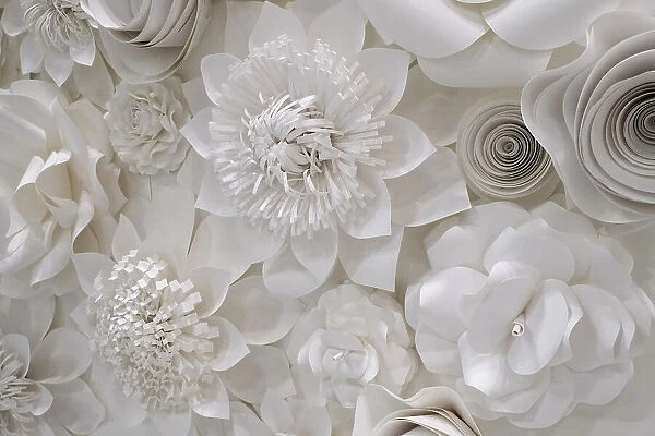 Variety of white flower designs made from cut paper. New York City, New York, USA Date: 14-08-2018